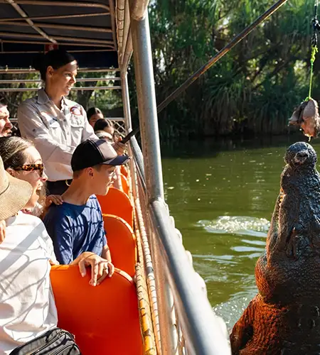 Crocodylus park