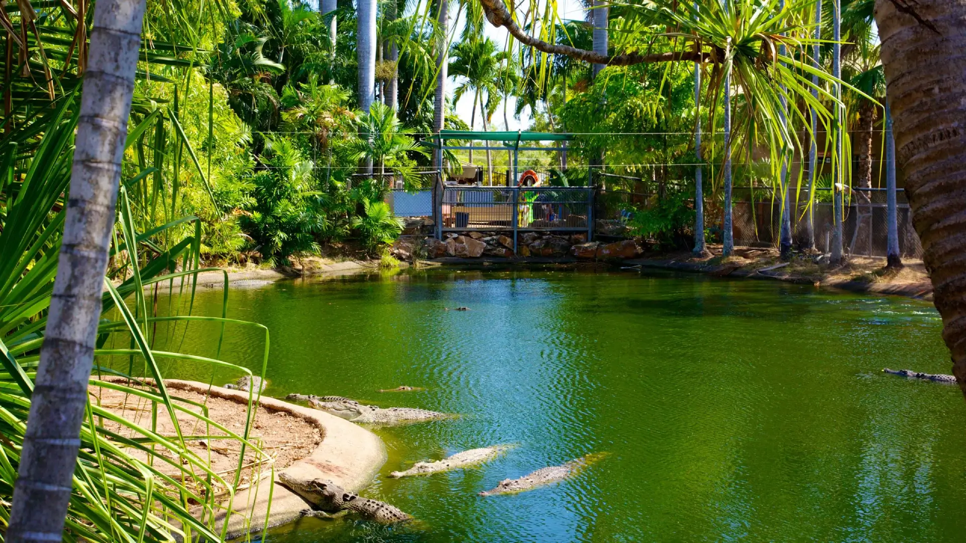 CROCODYLUS PARK