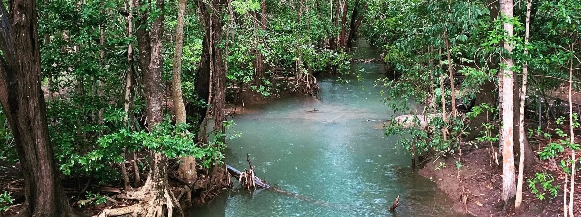 Discover the Wonders of the Gurambai Cultural Trail