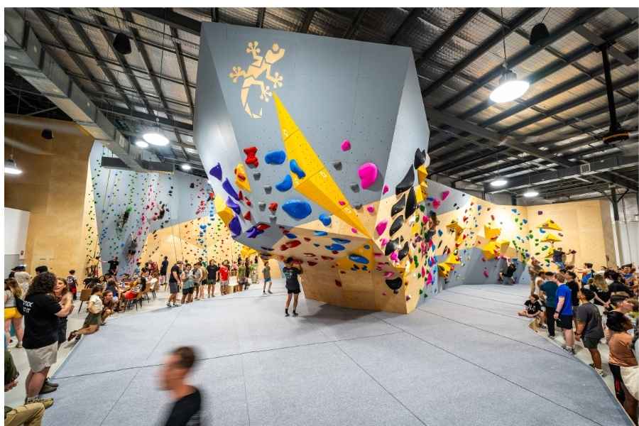 GECKO CLIMB