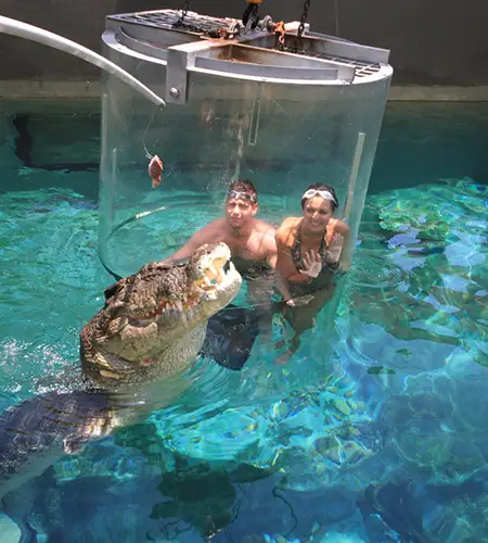 CROCOSAURUS COVE, dive with crocodiles